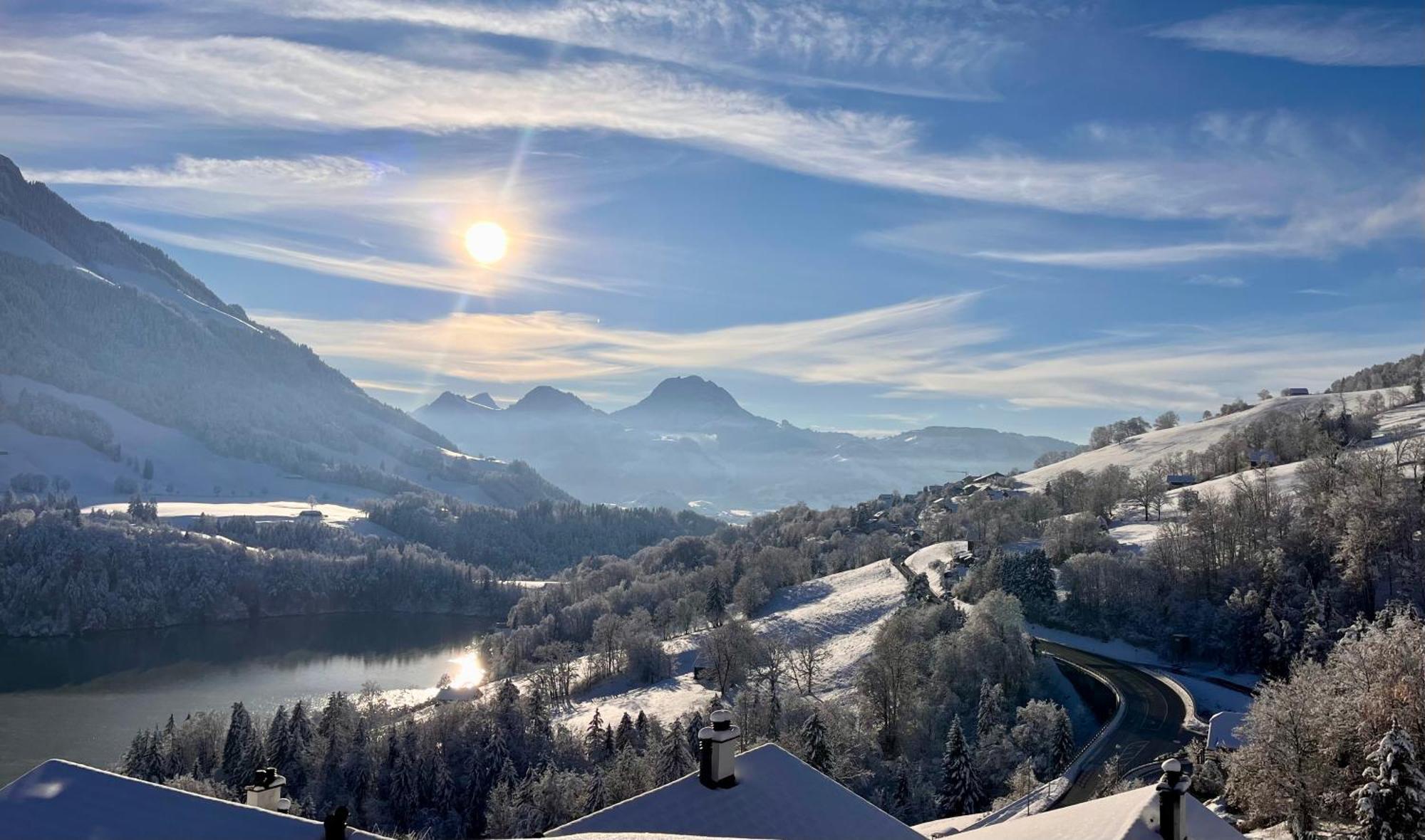 Chalet Les Ecureuils Apartment Penthouse Suite Cresuz 外观 照片